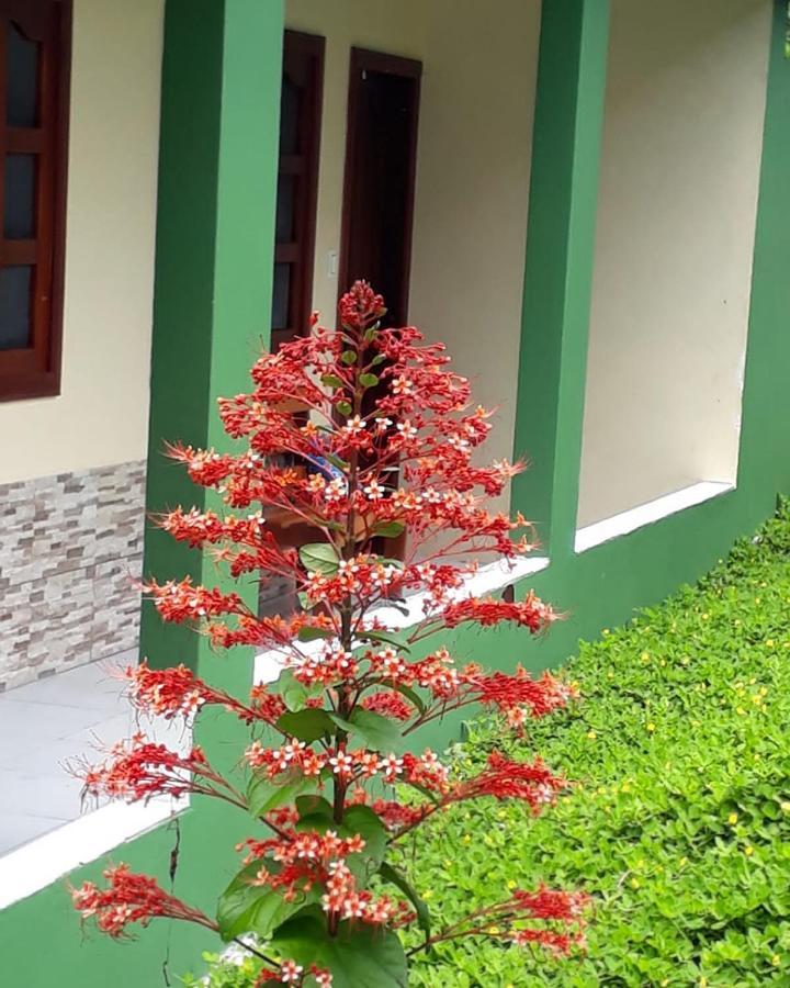 Wikungo Hotel Puerto Narino Exterior photo