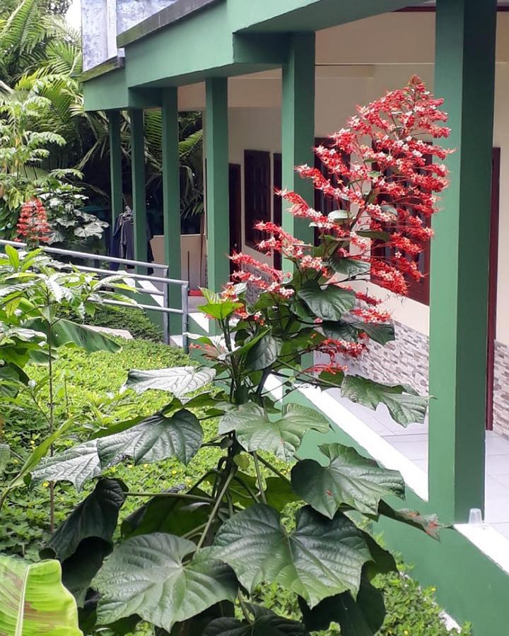 Wikungo Hotel Puerto Narino Exterior photo